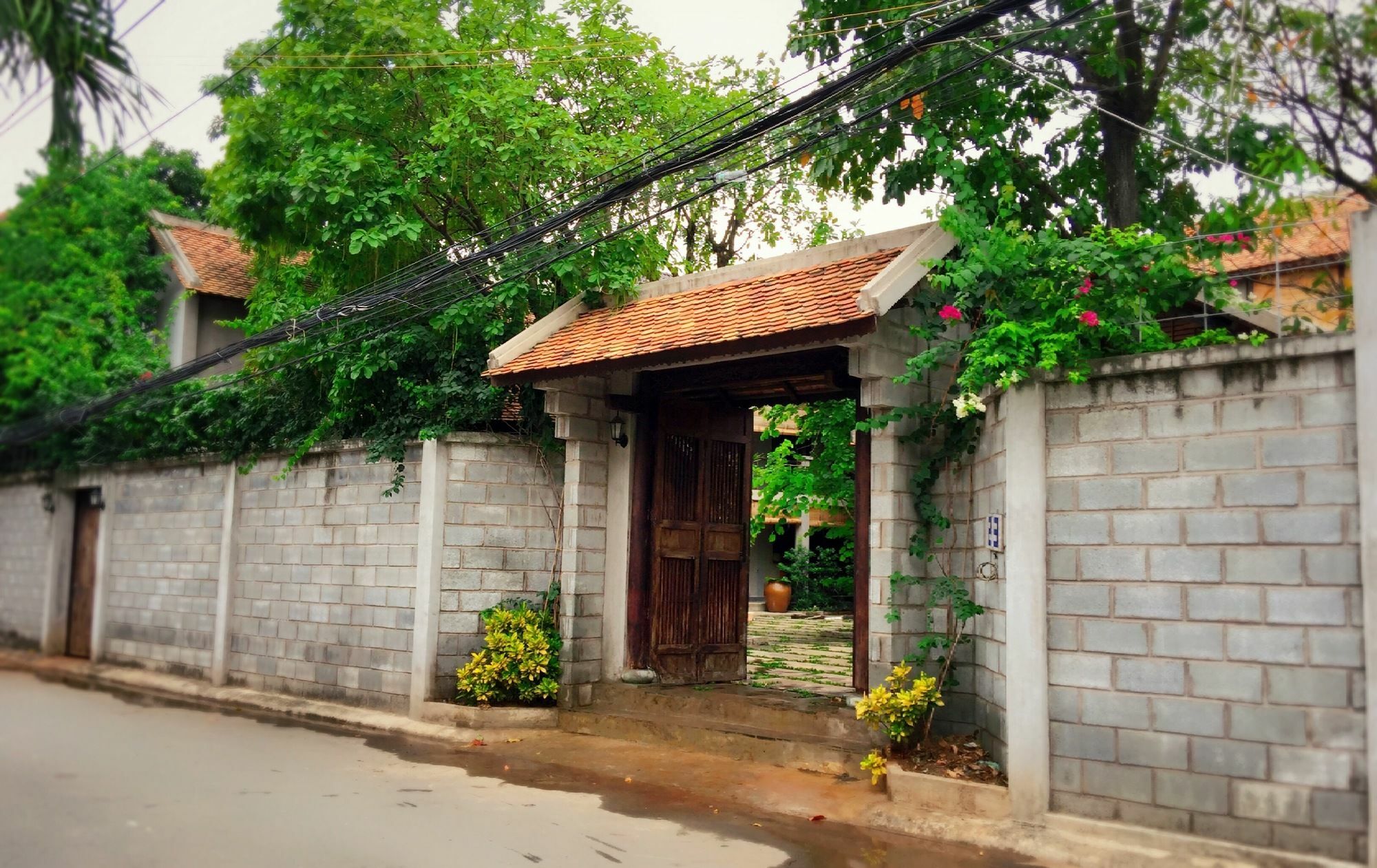 The An Homestay 胡志明市 外观 照片